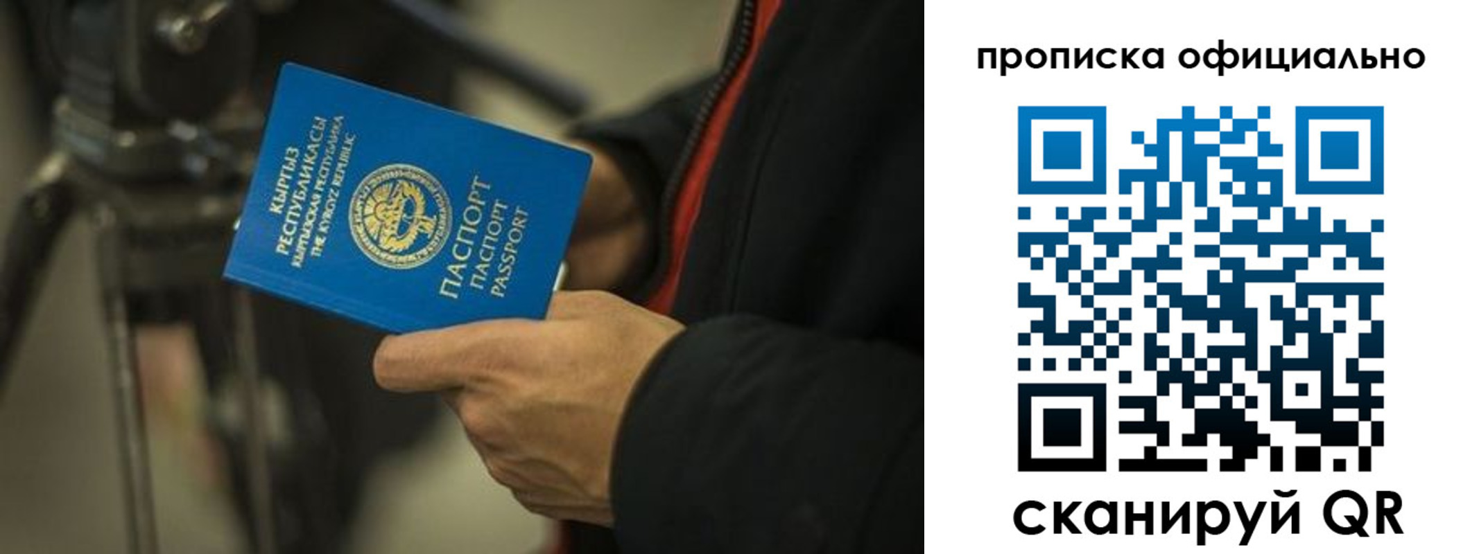 прописка в Могочи